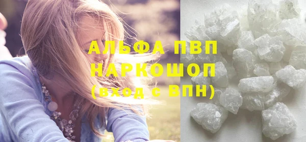 крисы Вязьма