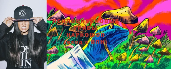 амф Верея