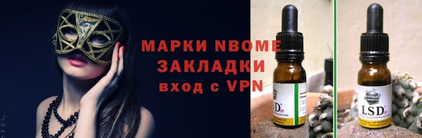 хмурый Вяземский