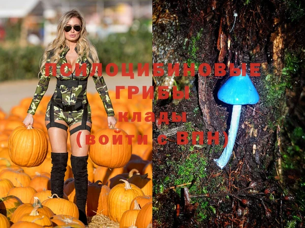 хмурый Вяземский